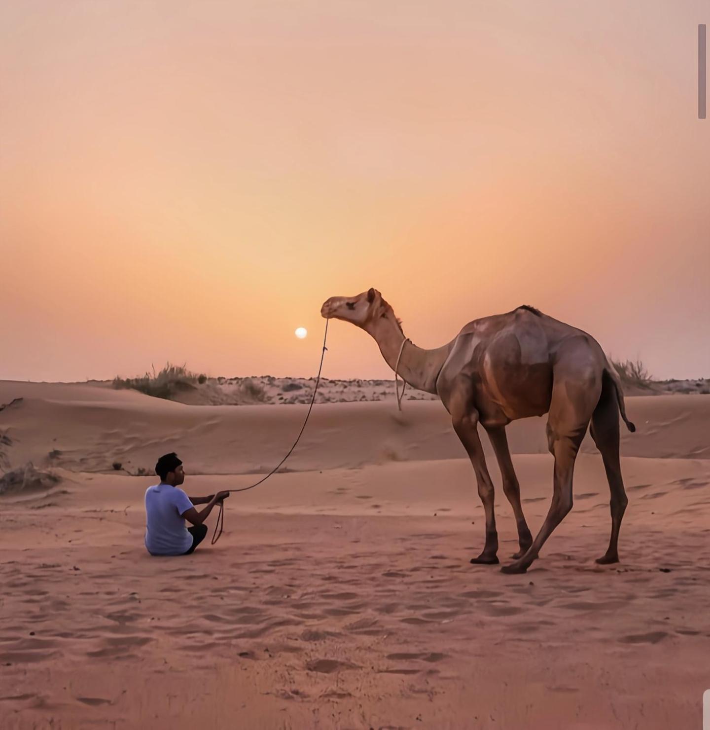 The Saffron Desert Camp 斋沙默尔 外观 照片